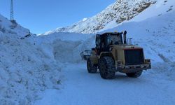 Başpınar–Başbağlar Yolunda Çığ Alarmı: Kaymakam Sahada