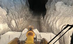 Kemaliye’de Mücadele Sürüyor: Vatandaşlara Uyarı Yapıldı