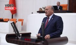 Milletvekili Karaman, Ergan Dağını TBMM'de konuştu