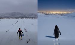 Antarktika’dan Erzincan'a ulaşan Penguen