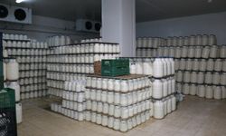 Erzincan Tulum Peyniri Geleneği Geleceğe Taşıyor