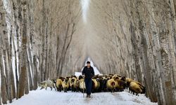 Erzincan Hazırlan! Cumhurbaşkanı Erdoğan büyük projeyi açıkladı...