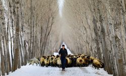 İş Dünyasında "Yalnızlık" Alarm Veriyor!