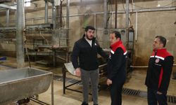 Erzincan'da mezbahalara yakın takip