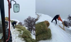 Erzincanlı Muhtarlardan Sarp Kayalıklarda "Can" Mesaisi