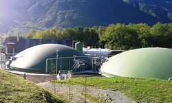 Erzincan’da Hayvan Atıkları Enerjiye Dönüşürse Elektrik Dengesi Değişebilir