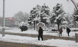 Erzincan'da termometreler çift haneli eksileri gördü!