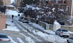 Karlar Erirken Ortaya Çıkan Gizli Tehlikeler