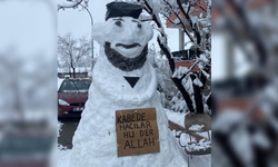 Erzincan'da sokakların yeni sakinleri ortaya çıktı: İşte o kareler..