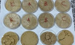 Erzincan’da Geliştirildi, Q2 Dergide Yayımlandı