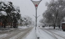 Erzincan'da Saat 11.00’den İtibaren Yasak Başladı