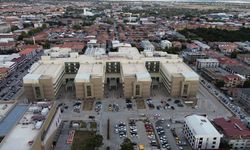 Erzincan'da kaç doktor var? Kaç kişi hastaneye gitti?