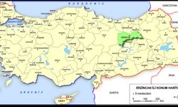 Erzincan'da kaç kişi evlendi? TÜİK açıkladı