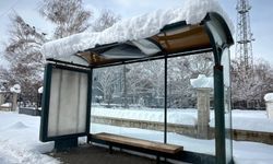 Erzincan’daki yapılar kar yüküne teslim oldu