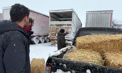 Açlık Riskine Müdahale: Tarım Ekipleri Seferber Oldu