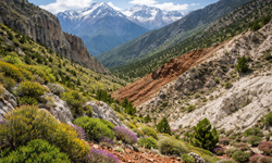 Bilim İnsanları Erzincan’ı Neden Laboratuvar Olarak Görüyor?