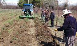 Erzincan Bahçe Kültürleri Fidan Satışına Başlayacak