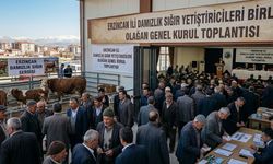 Erzincan Hayvancılığında Büyük Gün: Dev Birlik Sandığa Gidiyor!