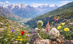 Bilim İnsanları Erzincan’ı İşaret Ediyor