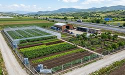 Erzincan’da Kaçırılmayacak Fırsat: 13 Bin m² Tek Parça Arazi Satışta!