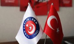 Türk Sağlık-Sen’den Erzincan’da Yoğun Saha Mesaisi