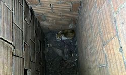 Erzincan'da daracık boşlukta umut mücadelesi