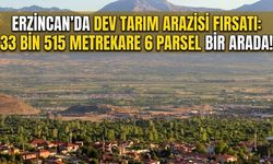 Erzincan’da Dev Tarım Arazisi Fırsatı: 33 Bin 515 Metrekare Bir Arada!