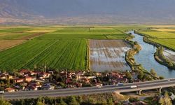 Erzincan’da Geleceğin Çiftlik ve Sera Yatırımı: Stratejik Konumda Çok İyi Fırsat!