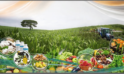 Erzincan’da tarımda yeni dönem