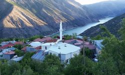 Kemaliye'de Çıkan Yangın Can Aldı