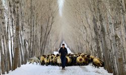 Erzincan'da dört gözle beklenen proje başlıyor... İşte detaylar...