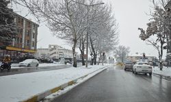 Mart Kapıdan Baktırdı: Erzincan Beyaza Büründü