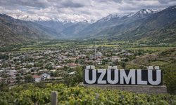 Üzümlü’nün Nüfus Gerçeği: Her 3 Kişiden 2’si Dışarıda