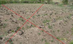 Erzincan'da Toprak Gübreleme Nasıl Olmalı? Bu Hataları Yapmayın...