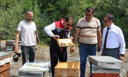Erzincan başvurdu: 17. Tescil geldi, Hayırlı Olsun...