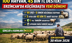 100 hayvan, 45 bin tl destek! Erzincan’da küçükbaşta yeni dönem başladı