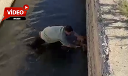 Erzincan'da bir canın kurtuluş anı..