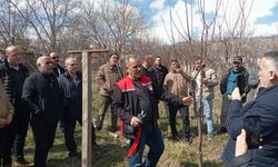 Erzincan'da çiftçiye sahada budama eğitimleri başladı