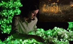 Sokak Lambaları Tarih mi Oluyor? Geceyi Ateşböceği Genli Bitkiler Aydınlatacak!