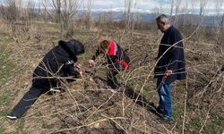 Erzincan'da Bağlarda Budama Uyarısı Geldi