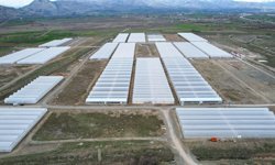 Erzincan'ın Yeni Gücü: İstihdam ve Üretim Aynı Anda Artıyor