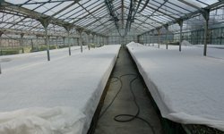 Erzincan dondu, üretici ayakta: Seralarda gece savaşı!