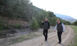 Yeni Orman Parkı Geliyor: Erzincan’a Nefes Aldıracak Yatırım