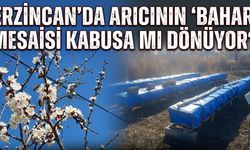 Erzincan’da Arıcının ‘Bahar’ Mesaisi Kabusa Mı Dönüyor?