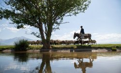 Erzincan’da Bahar Patladı: Doğa Adeta Yeniden Doğuyor