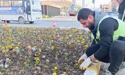 Erzincan’ın Kalbi Renk Cümbüşüne Bürünüyor