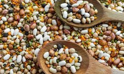 100 yaşını aşanların sağlıklı yaşam sırrı!