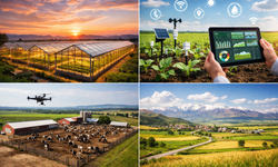 Erzincan'da Tarımda Büyük Destek: Yatırımlara %70’e Varan Hibe