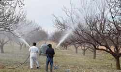 Erzincan'da Üreticilere Hayati Uyarı: Zaman Kaybetmeyin