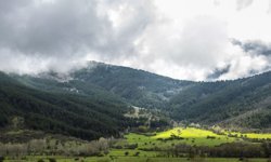 Refahiye’nin Orman Altı Sırları: Erzincan’ın Bilinmeyen Hazinesi
